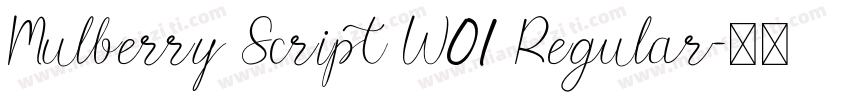 Mulberry Script W01 Regular字体转换